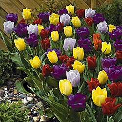 Breckswholesale com What others are saying